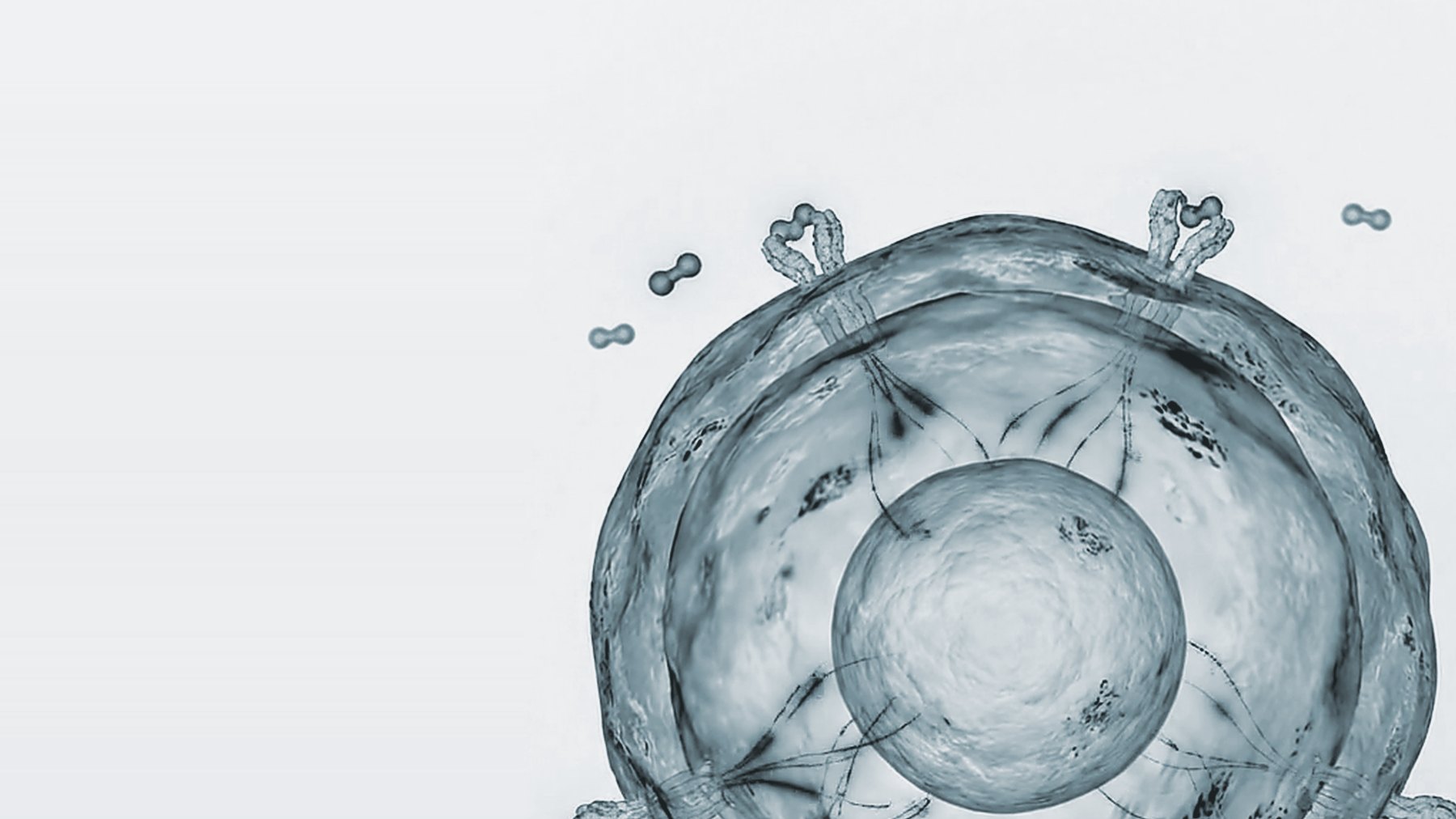 A living cell studded with surface receptors, molecules approaching
